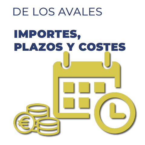 Importe Plazos y Costes Avales SAECA