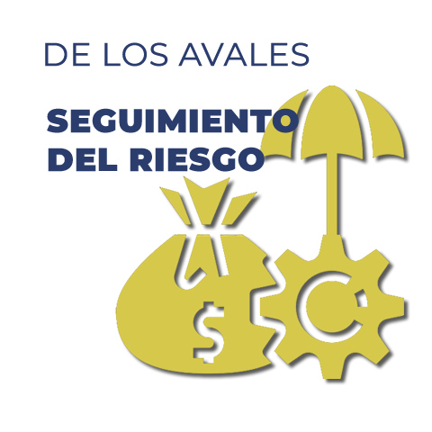 Seguimiento del Riesgo Avales SAECA