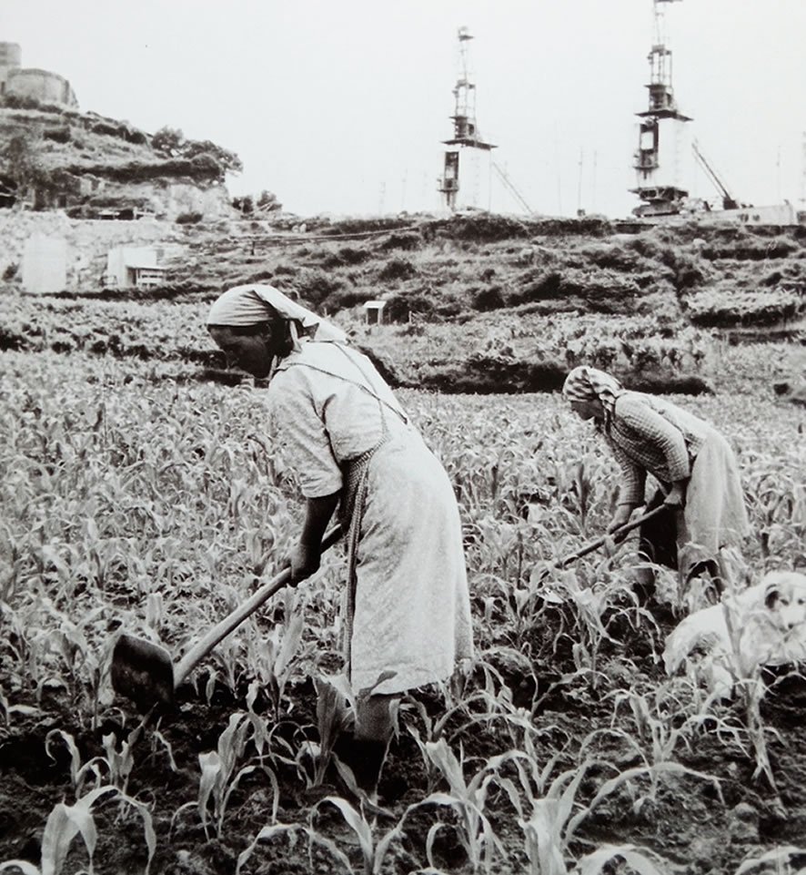 Castrelo de Miños, Ourense (Galicia), años 60. Mujeres cultivando campo de maíz. Efe.
