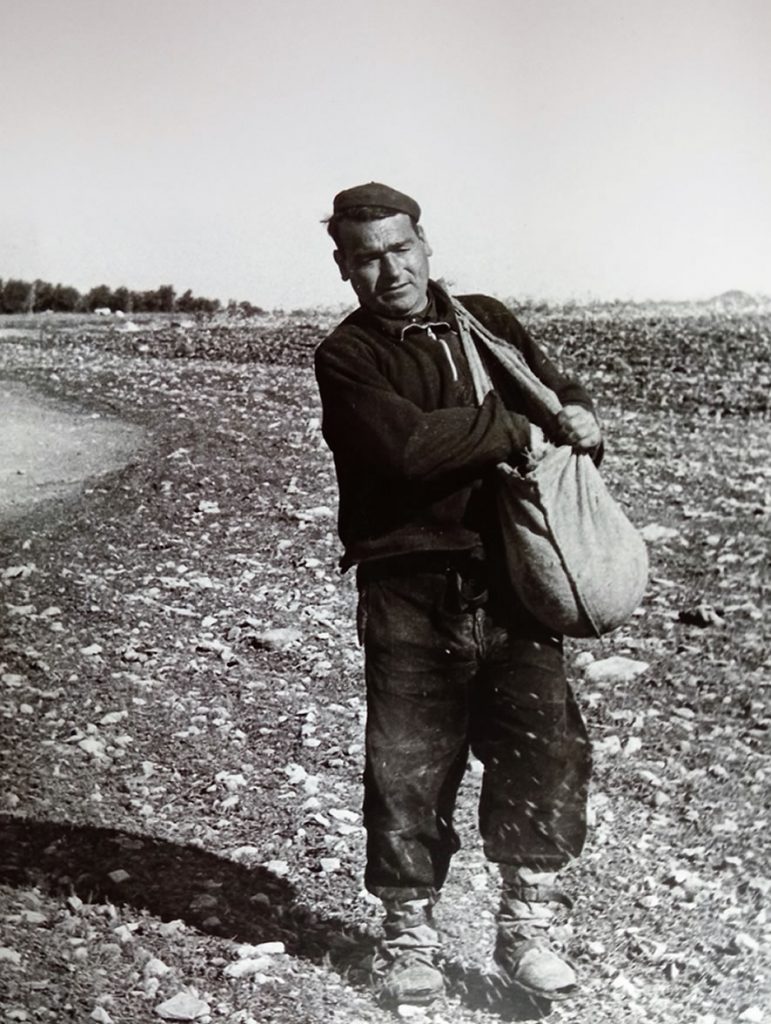 La Mancha (Castilla-La Mancha), años 70. Un agricultor siembra cereal. Efe.