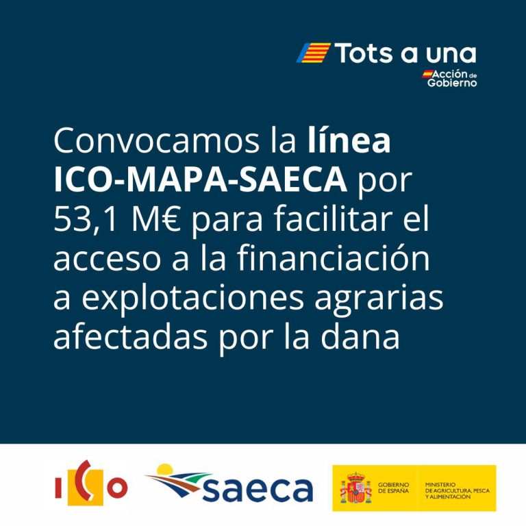 El Ministerio de Agricultura, Pesca y Alimentación convoca la línea ICO-MAPA-SAECA con 53,1 millones de euros de subvención para facilitar el acceso a la financiación a explotaciones agrarias afectadas por la Dana